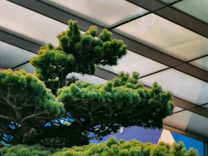 קזינו ווין פארדייס אפליקציה לנייד